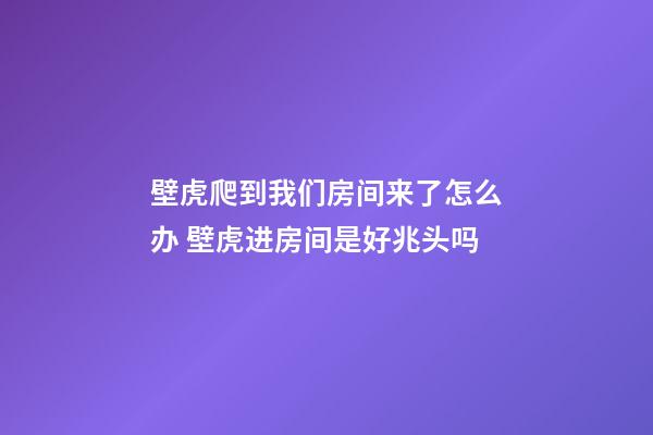 壁虎爬到我们房间来了怎么办 壁虎进房间是好兆头吗